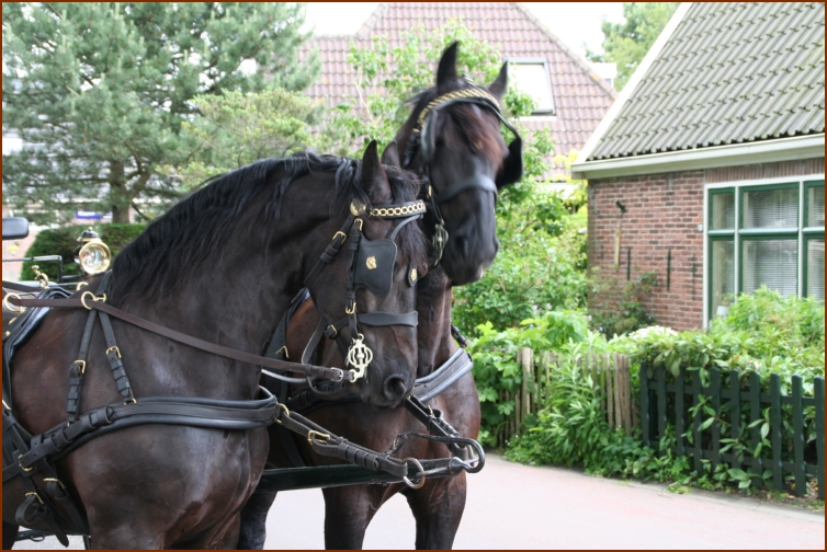 935 Willy & Gerard 079 Met de Koets